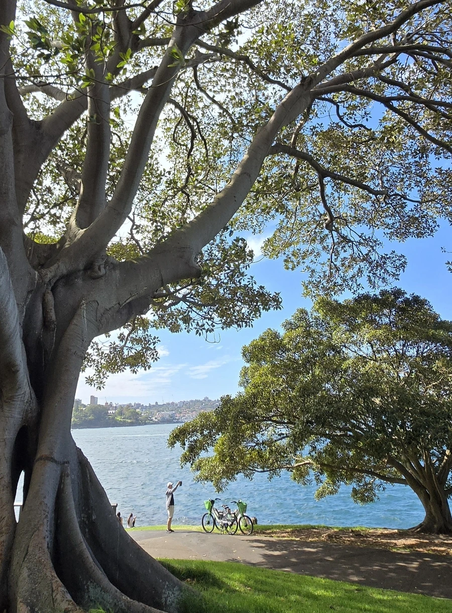 900%EF%BC%BF20250223%EF%BC%BF160503.jpg?type=w1