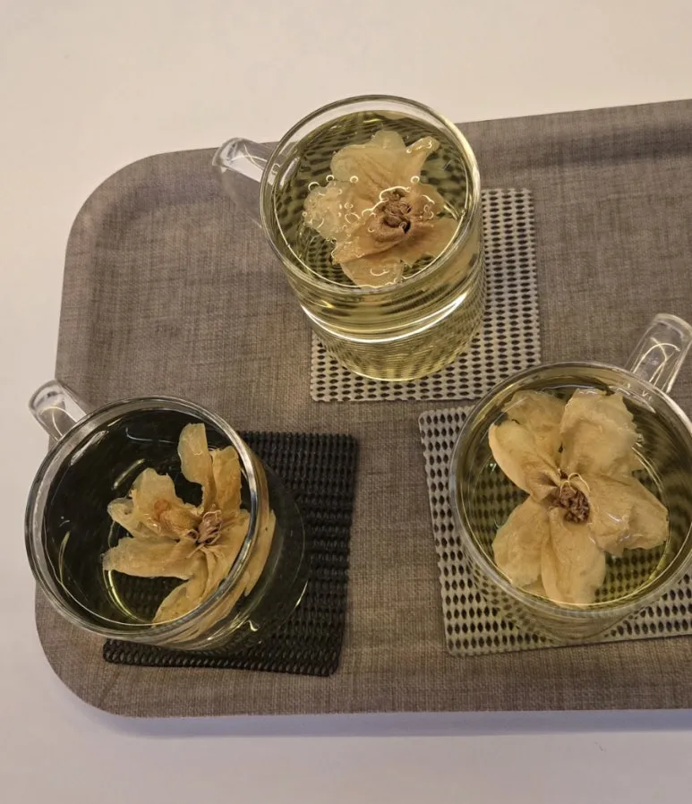 900%EF%BC%BF20251214%EF%BC%BF185228.jpg?type=w773