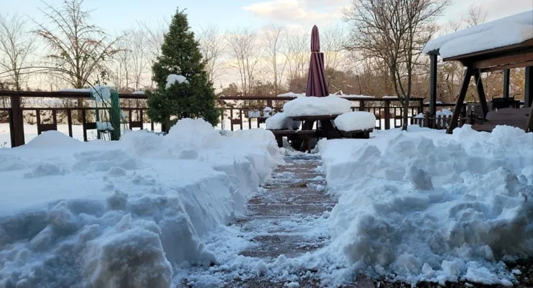 KakaoTalk_20241202_144650465.jpg?type=w773