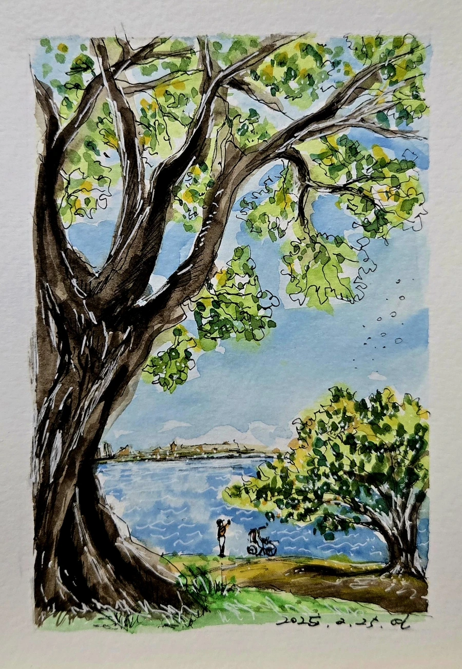 900%EF%BC%BF20250225%EF%BC%BF163338.jpg?type=w1