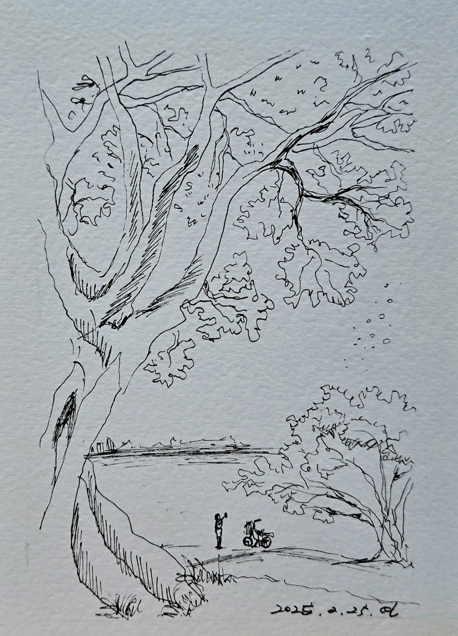 900%EF%BC%BF20250225%EF%BC%BF105455.jpg?type=w1