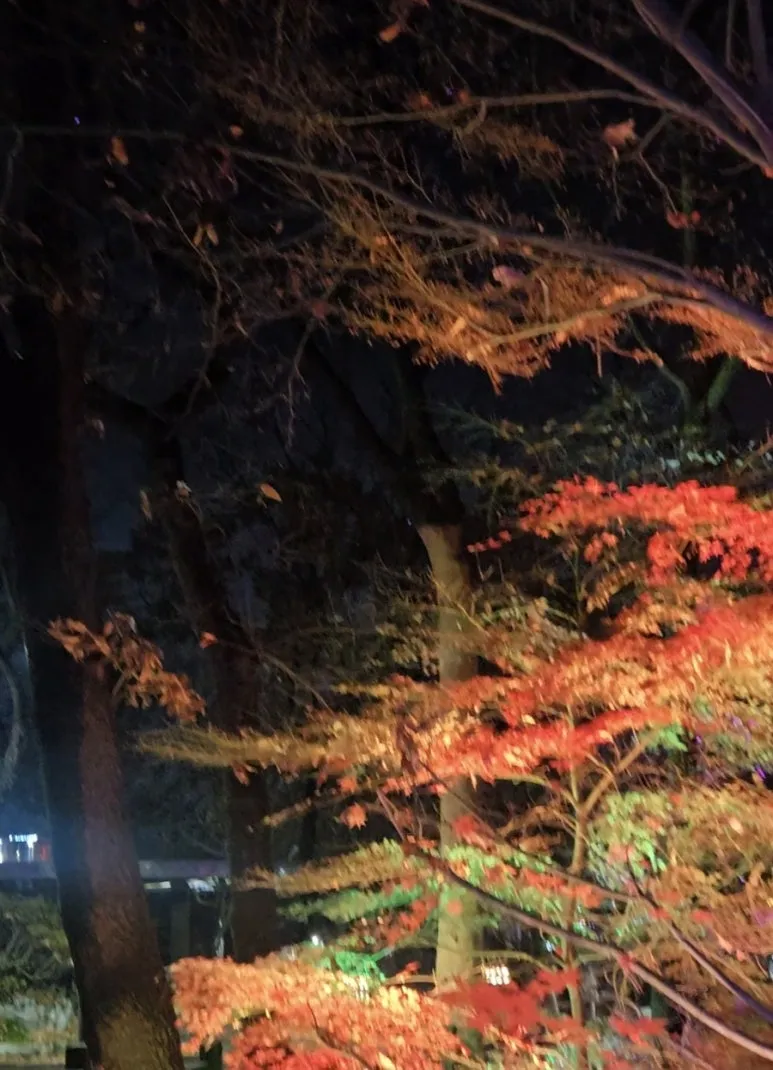 900%EF%BC%BFScreenshot%EF%BC%BF20251214%EF%BC%BF215135%EF%BC%BFGallery.jpg?type=w773