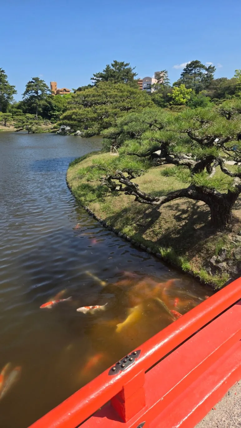 900%EF%BC%BF20250504%EF%BC%BF142841.jpg?type=w773