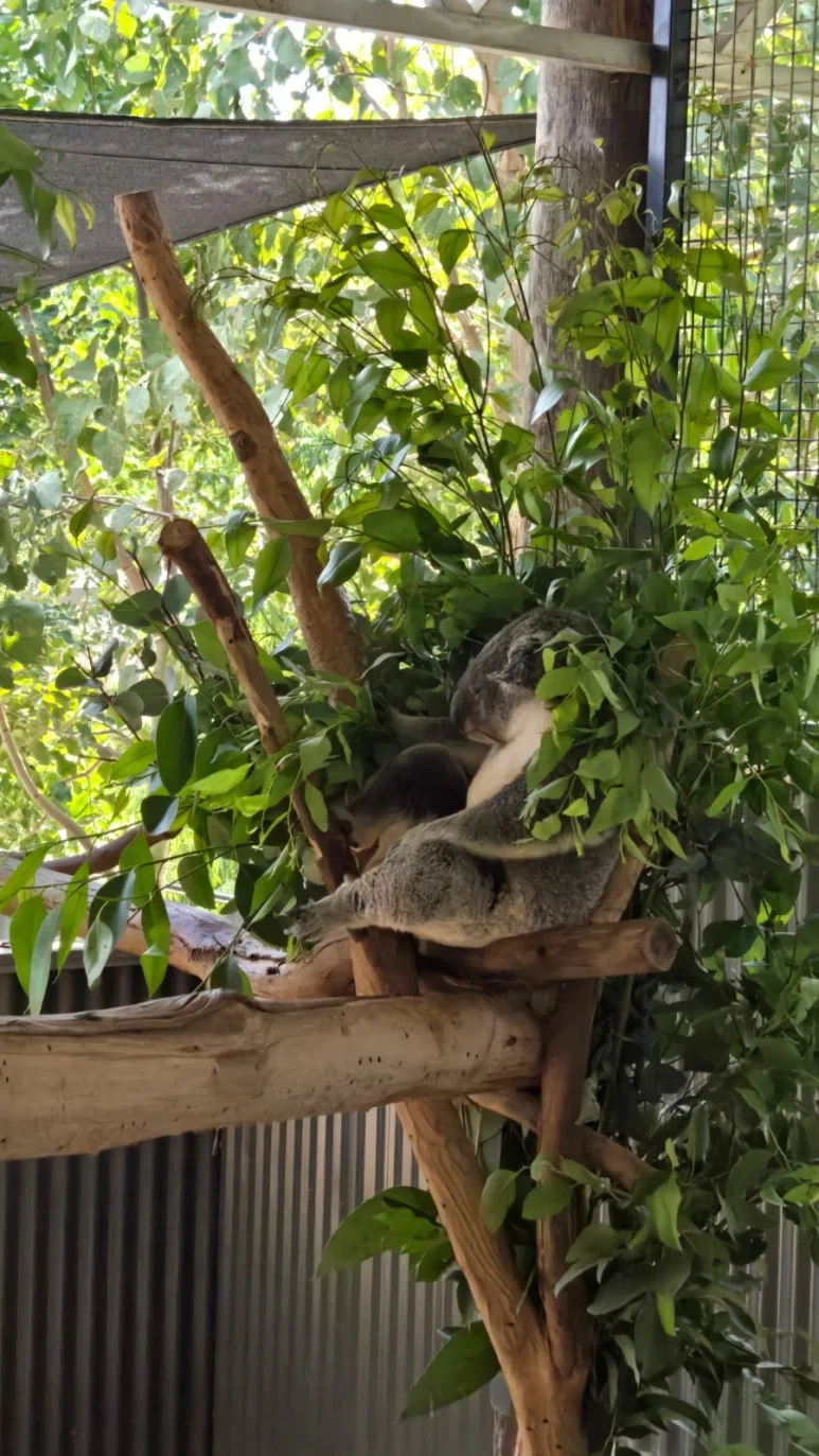 900%EF%BC%BF20250222%EF%BC%BF145303.jpg?type=w773