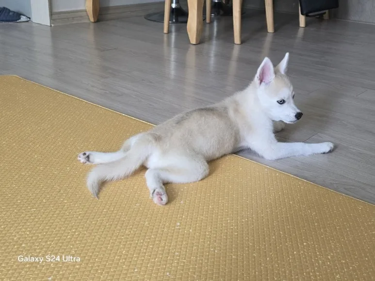 900%EF%BC%BF1749390245806.jpg?type=w773