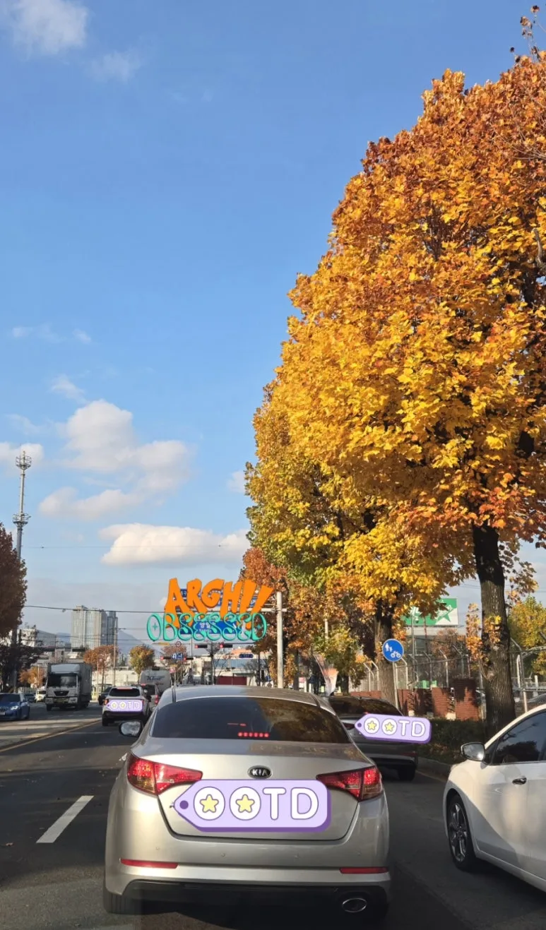 900%EF%BC%BF20251119%EF%BC%BF151312.jpg?type=w773