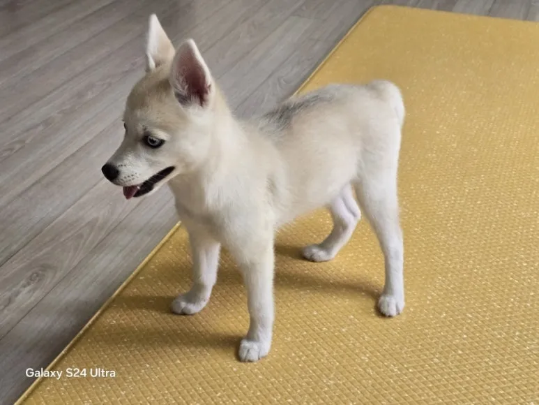 900%EF%BC%BF1749390234175.jpg?type=w773