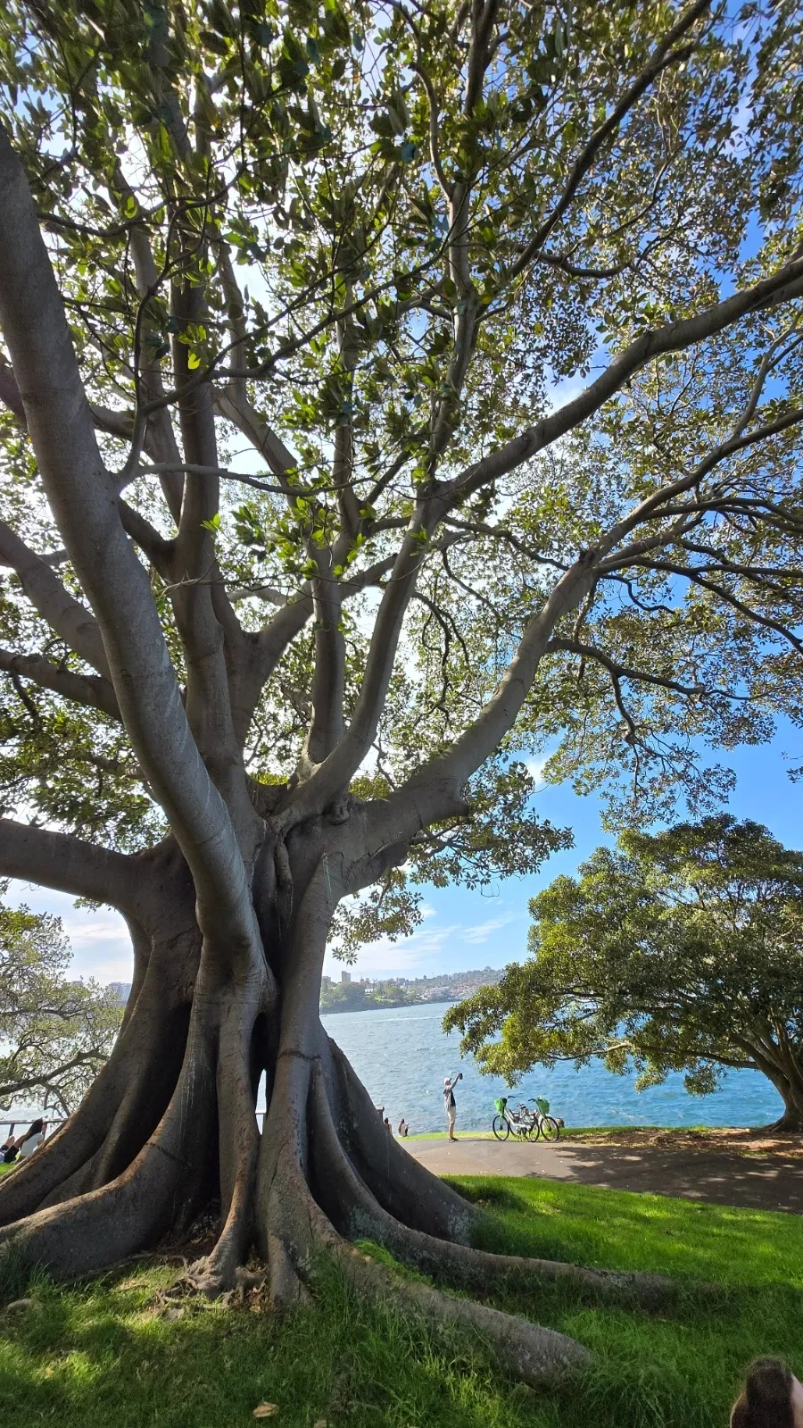 900%EF%BC%BF20250223%EF%BC%BF160501.jpg?type=w1