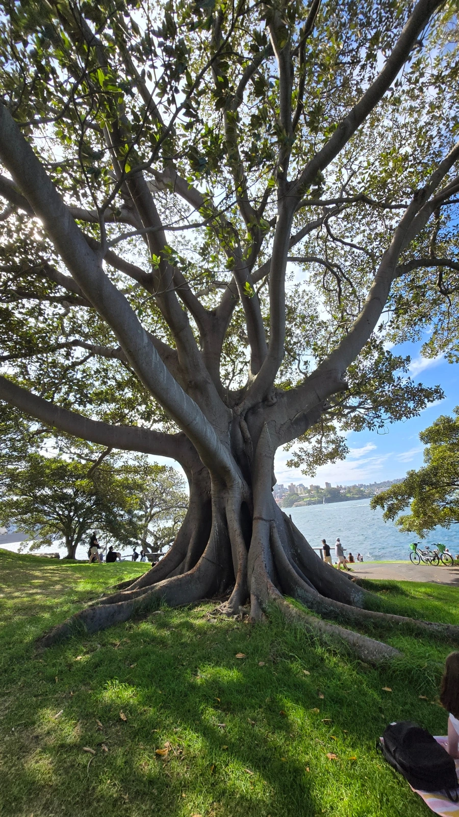 900%EF%BC%BF20250223%EF%BC%BF160455.jpg?type=w1