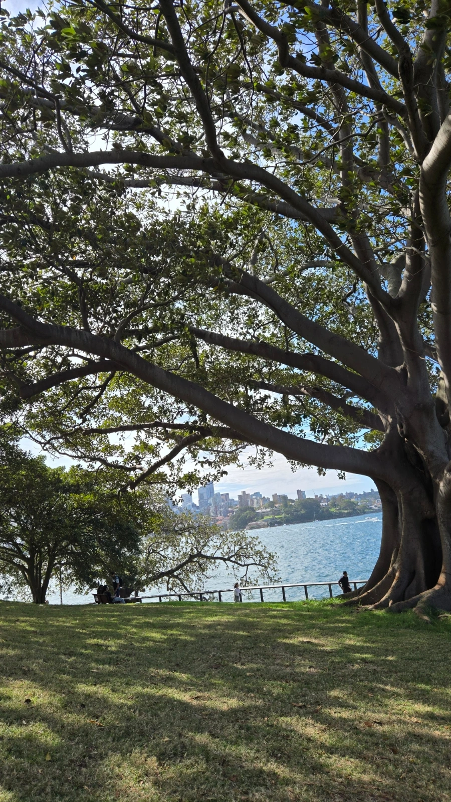 900%EF%BC%BF20250223%EF%BC%BF155912.jpg?type=w1