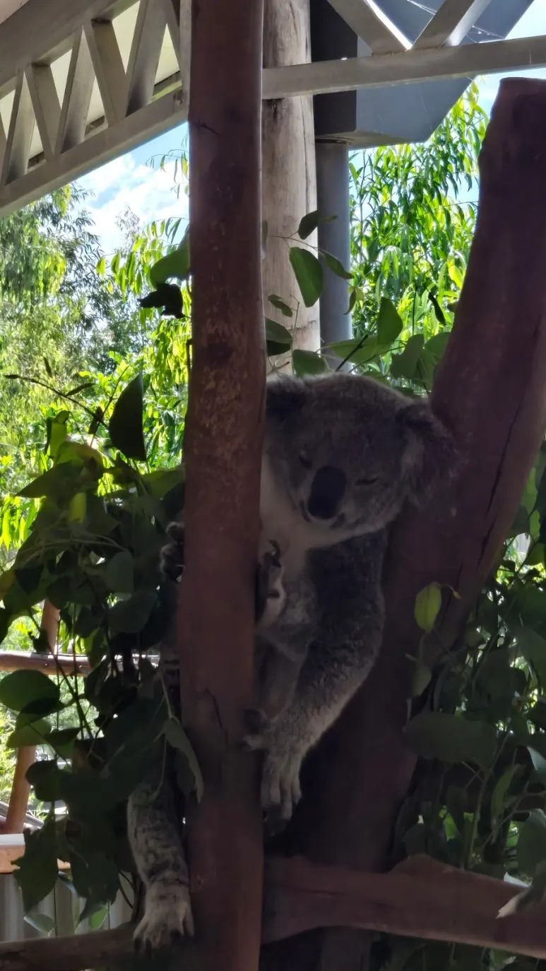 900%EF%BC%BF20250222%EF%BC%BF145237.jpg?type=w773