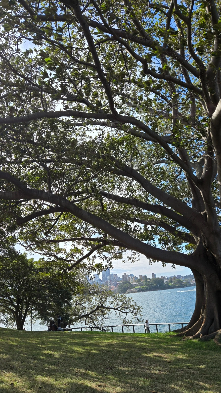 900%EF%BC%BF20250223%EF%BC%BF155915.jpg?type=w1