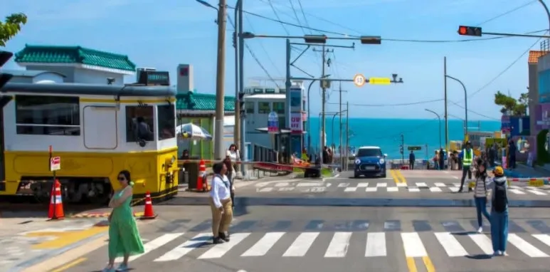 900%EF%BC%BF1747015002614.jpg?type=w773