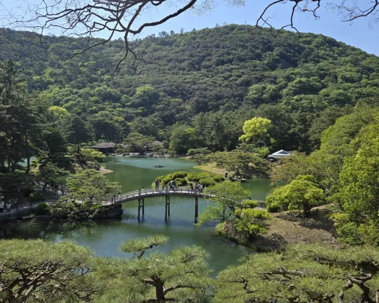 900%EF%BC%BF1746353042596%EF%BC%8D2.jpg?type=w773