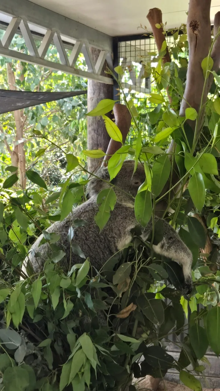 900%EF%BC%BF20250222%EF%BC%BF145249.jpg?type=w773