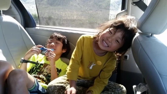 4%EC%84%B8%EA%B3%84%EC%97%AC%ED%96%89_%EA%B0%80%EC%A1%B1%EC%97%AC%ED%96%89_%EB%AF%B8%EA%B5%AD_%EC%BD%94%EC%95%84%EC%BA%A0%ED%95%91%EC%9E%A5_%EC%9E%90%EC%9D%B4%EC%96%B8%EC%BA%90%EB%85%84.jpg?type=w2