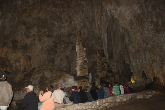 5-4%EC%84%B8%EA%B3%84%EC%97%AC%ED%96%89_%EB%AF%B8%EA%B5%AD_%EA%B0%80%EC%A1%B1%EC%97%AC%ED%96%89_%EC%B9%BC%EC%8A%A4%EB%B0%B0%EB%93%9C%EA%B5%AD%EB%A6%BD%EA%B3%B5%EC%9B%90_koa%EC%BA%A0%ED%95%91%EC%9E%A5_%EC%BA%A0%ED%95%91_%EC%B6%95%EA%B5%AC.JPG?type=w2