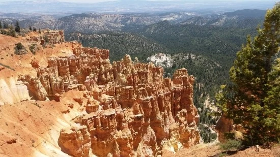 5-3%EC%84%B8%EA%B3%84%EC%97%AC%ED%96%89_%EC%BA%A0%ED%95%91_%EB%B8%8C%EB%9D%BC%EC%9D%B4%EC%8A%A4%EC%BA%90%EB%85%84_%EA%B7%B8%EB%9E%9C%EB%93%9C%EC%BA%90%EB%85%84_%EA%B0%80%EC%A1%B1%EC%97%AC%ED%96%89_%EB%AF%B8%EA%B5%AD.jpg?type=w2