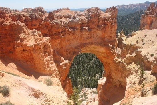 5-5%EC%84%B8%EA%B3%84%EC%97%AC%ED%96%89_%EC%BA%A0%ED%95%91_%EB%B8%8C%EB%9D%BC%EC%9D%B4%EC%8A%A4%EC%BA%90%EB%85%84_%EA%B7%B8%EB%9E%9C%EB%93%9C%EC%BA%90%EB%85%84_%EA%B0%80%EC%A1%B1%EC%97%AC%ED%96%89_%EB%AF%B8%EA%B5%AD.JPG?type=w2