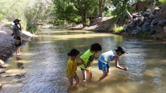 7%EC%84%B8%EA%B3%84%EC%97%AC%ED%96%89_%EA%B0%80%EC%A1%B1%EC%97%AC%ED%96%89_%EB%AF%B8%EA%B5%AD_%EC%BD%94%EC%95%84%EC%BA%A0%ED%95%91%EC%9E%A5_%EC%9E%90%EC%9D%B4%EC%96%B8%EC%BA%90%EB%85%84.jpg?type=w2