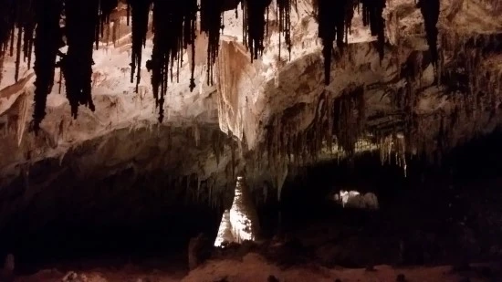 5-1%EC%84%B8%EA%B3%84%EC%97%AC%ED%96%89_%EB%AF%B8%EA%B5%AD_%EA%B0%80%EC%A1%B1%EC%97%AC%ED%96%89_%EC%B9%BC%EC%8A%A4%EB%B0%B0%EB%93%9C%EA%B5%AD%EB%A6%BD%EA%B3%B5%EC%9B%90_koa%EC%BA%A0%ED%95%91%EC%9E%A5_%EC%BA%A0%ED%95%91_%EC%B6%95%EA%B5%AC.jpg?type=w2