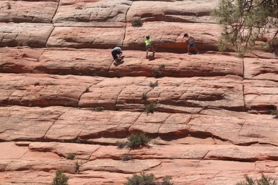 4-3%EC%84%B8%EA%B3%84%EC%97%AC%ED%96%89_%EB%AF%B8%EA%B5%AD_%EC%BA%A0%ED%95%91_%EC%9E%90%EC%9D%B4%EC%96%B8%EC%BA%90%EB%85%84_%EB%B8%8C%EB%9D%BC%EC%9D%B4%EC%8A%A4_%EC%BA%90%EB%85%84_%EA%B5%AD%EB%A6%BD%EA%B3%B5%EC%9B%90_%EA%B0%80%EC%A1%B1%EC%97%AC.JPG?type=w2