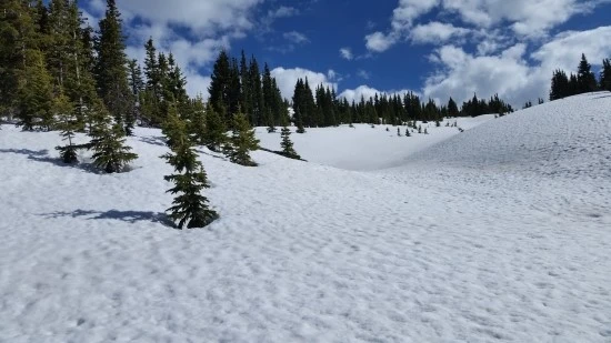 7-5%EC%84%B8%EA%B3%84%EC%97%AC%ED%96%89_%EB%AF%B8%EA%B5%AD_%EC%BA%A0%ED%95%91_%EA%B0%80%EC%A1%B1%EC%97%AC%ED%96%89_%EC%BD%94%EC%95%84%EC%BA%A0%ED%95%91%EC%9E%A5_%EB%A1%9C%ED%82%A4%EB%A7%88%EC%9A%B4%ED%8B%B4_%EC%B6%95%EA%B5%AC_%EC%84%A4%EC%82%B0.jpg?type=w2