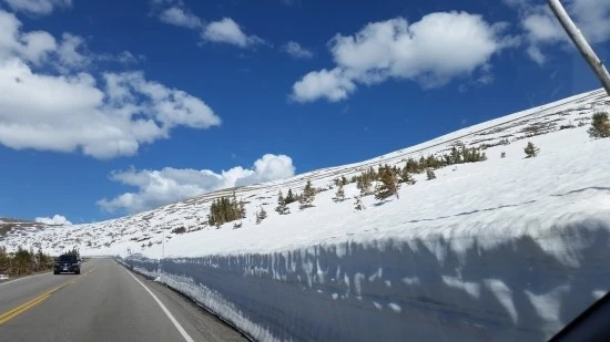 7-4%EC%84%B8%EA%B3%84%EC%97%AC%ED%96%89_%EB%AF%B8%EA%B5%AD_%EC%BA%A0%ED%95%91_%EA%B0%80%EC%A1%B1%EC%97%AC%ED%96%89_%EC%BD%94%EC%95%84%EC%BA%A0%ED%95%91%EC%9E%A5_%EB%A1%9C%ED%82%A4%EB%A7%88%EC%9A%B4%ED%8B%B4_%EC%B6%95%EA%B5%AC_%EC%84%A4%EC%82%B0.jpg?type=w2