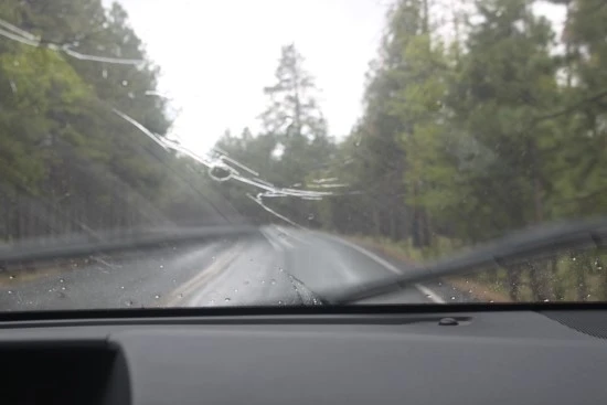 IMG_7916.JPG?type=w2