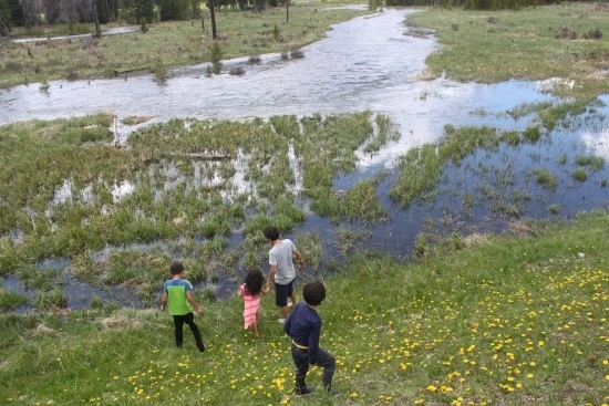 5-1%EC%84%B8%EA%B3%84%EC%97%AC%ED%96%89_%EB%AF%B8%EA%B5%AD_%EC%BA%A0%ED%95%91_%EA%B0%80%EC%A1%B1%EC%97%AC%ED%96%89_%EC%BD%94%EC%95%84%EC%BA%A0%ED%95%91%EC%9E%A5_%EB%A1%9C%ED%82%A4%EB%A7%88%EC%9A%B4%ED%8B%B4_%EC%B6%95%EA%B5%AC_%EC%84%A4%EC%82%B0.JPG?type=w2