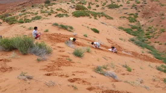 7-1%EC%84%B8%EA%B3%84%EC%97%AC%ED%96%89_%EA%B0%80%EC%A1%B1%EC%97%AC%ED%96%89_%EC%BA%A0%ED%95%91_%EA%B7%B8%EB%9E%98%EB%93%9C%EC%BA%90%EB%85%84_%EB%AA%A8%EB%89%B4%EB%A8%BC%ED%8A%B8%EB%B0%B8%EB%A6%AC_%EB%AF%B8%EA%B5%AD.jpg?type=w2