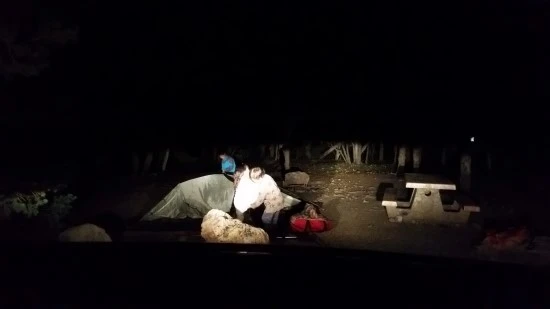 11-1%EC%84%B8%EA%B3%84%EC%97%AC%ED%96%89_%EC%BA%A0%ED%95%91_%EB%B8%8C%EB%9D%BC%EC%9D%B4%EC%8A%A4%EC%BA%90%EB%85%84_%EA%B7%B8%EB%9E%9C%EB%93%9C%EC%BA%90%EB%85%84_%EA%B0%80%EC%A1%B1%EC%97%AC%ED%96%89_%EB%AF%B8%EA%B5%AD.jpg?type=w2