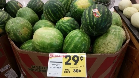 3%EC%84%B8%EA%B3%84%EC%97%AC%ED%96%89_%EA%B0%80%EC%A1%B1%EC%97%AC%ED%96%89_%EB%AF%B8%EA%B5%AD_%EC%BD%94%EC%95%84%EC%BA%A0%ED%95%91%EC%9E%A5_%EC%9E%90%EC%9D%B4%EC%96%B8%EC%BA%90%EB%85%84.jpg?type=w2