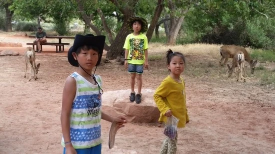 6%EC%84%B8%EA%B3%84%EC%97%AC%ED%96%89_%EA%B0%80%EC%A1%B1%EC%97%AC%ED%96%89_%EB%AF%B8%EA%B5%AD_%EC%BD%94%EC%95%84%EC%BA%A0%ED%95%91%EC%9E%A5_%EC%9E%90%EC%9D%B4%EC%96%B8%EC%BA%90%EB%85%84.jpg?type=w2