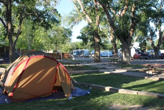 1-1%EC%84%B8%EA%B3%84%EC%97%AC%ED%96%89_%EA%B0%80%EC%A1%B1%EC%97%AC%ED%96%89_%EB%AF%B8%EA%B5%AD_%EC%BD%94%EC%95%84%EC%BA%A0%ED%95%91%EC%9E%A5_%EC%9E%90%EC%9D%B4%EC%96%B8%EC%BA%90%EB%85%84.JPG?type=w2