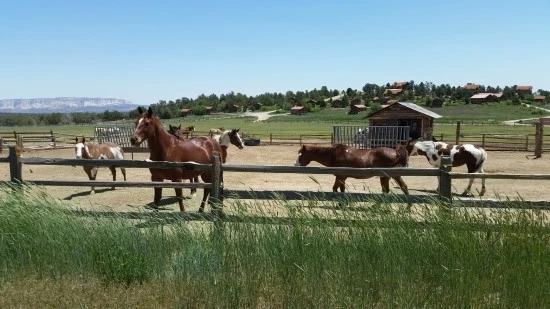 5-1%EC%84%B8%EA%B3%84%EC%97%AC%ED%96%89_%EB%AF%B8%EA%B5%AD_%EC%BA%A0%ED%95%91_%EC%9E%90%EC%9D%B4%EC%96%B8%EC%BA%90%EB%85%84_%EB%B8%8C%EB%9D%BC%EC%9D%B4%EC%8A%A4_%EC%BA%90%EB%85%84_%EA%B5%AD%EB%A6%BD%EA%B3%B5%EC%9B%90_%EA%B0%80%EC%A1%B1%EC%97%AC.jpg?type=w2