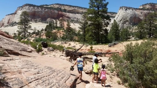 5%EC%84%B8%EA%B3%84%EC%97%AC%ED%96%89_%EB%AF%B8%EA%B5%AD_%EC%BA%A0%ED%95%91_%EC%9E%90%EC%9D%B4%EC%96%B8%EC%BA%90%EB%85%84_%EB%B8%8C%EB%9D%BC%EC%9D%B4%EC%8A%A4_%EC%BA%90%EB%85%84_%EA%B5%AD%EB%A6%BD%EA%B3%B5%EC%9B%90_%EA%B0%80%EC%A1%B1%EC%97%AC%ED%96%89.jpg?type=w2