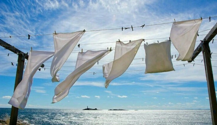 %EB%B9%A8%EB%9E%98.jpg?type=w1