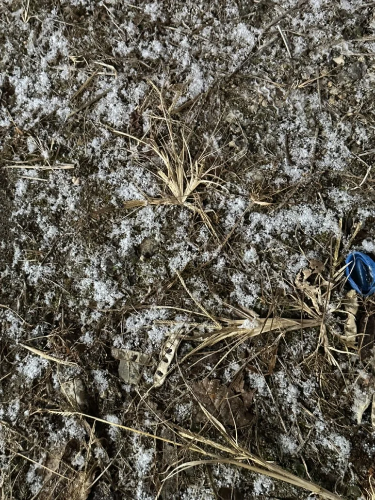 IMG%EF%BC%BF6015.jpg?type=w773