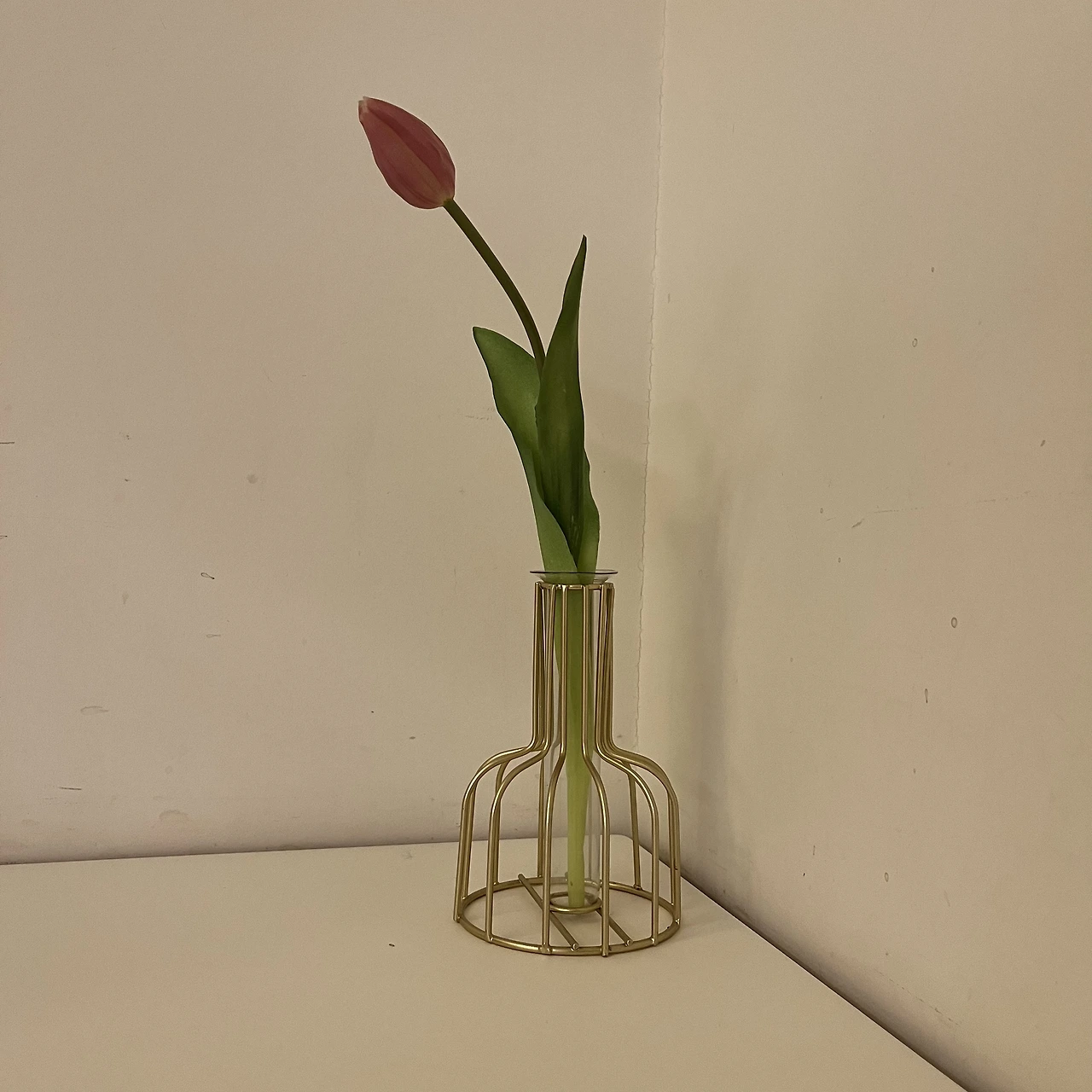 P20221121_181530868_E11B2067-62A0-4A05-B83B-DD4A60409944.jpg?type=w3840