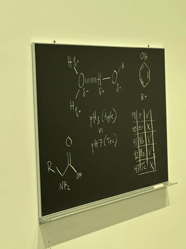 P20241023_144639366_B9AAC922-C1C2-408A-BF94-F53BA1EE0FF9.jpg?type=w773