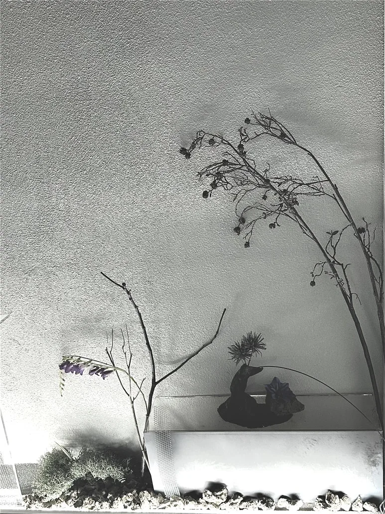 P20240830_212851540_DC18C042-D8AC-4206-9293-DFBDFBA68858.jpg?type=w773