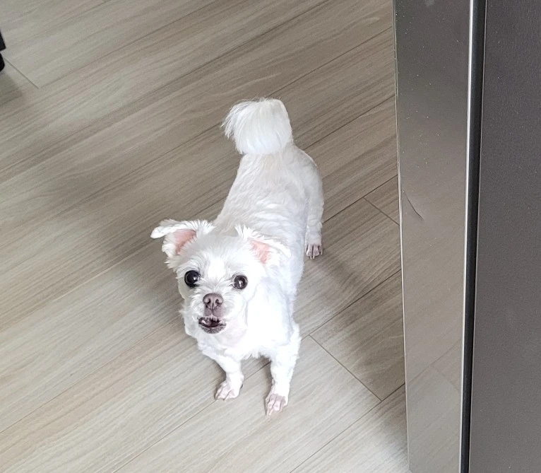 1756040630546.jpg?type=w773