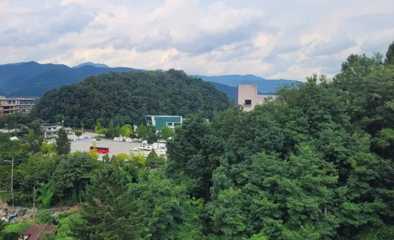 900%EF%BC%BF1756645649283.jpg?type=w773