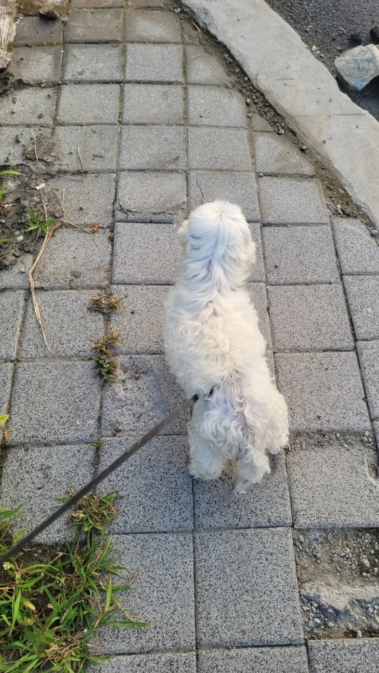 900%EF%BC%BF20250824%EF%BC%BF183817.jpg?type=w773