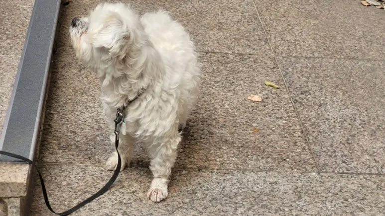 900%EF%BC%BF20250622%EF%BC%BF174105.jpg?type=w773