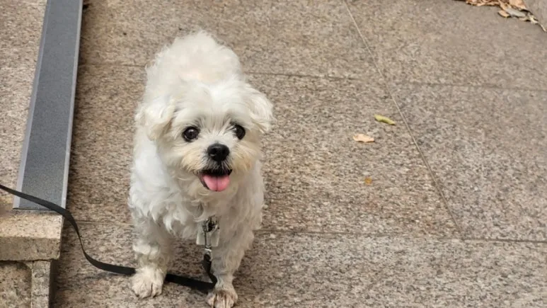 900%EF%BC%BF20250622%EF%BC%BF174135.jpg?type=w773