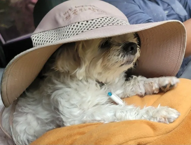 900%EF%BC%BF1756040892709.jpg?type=w773