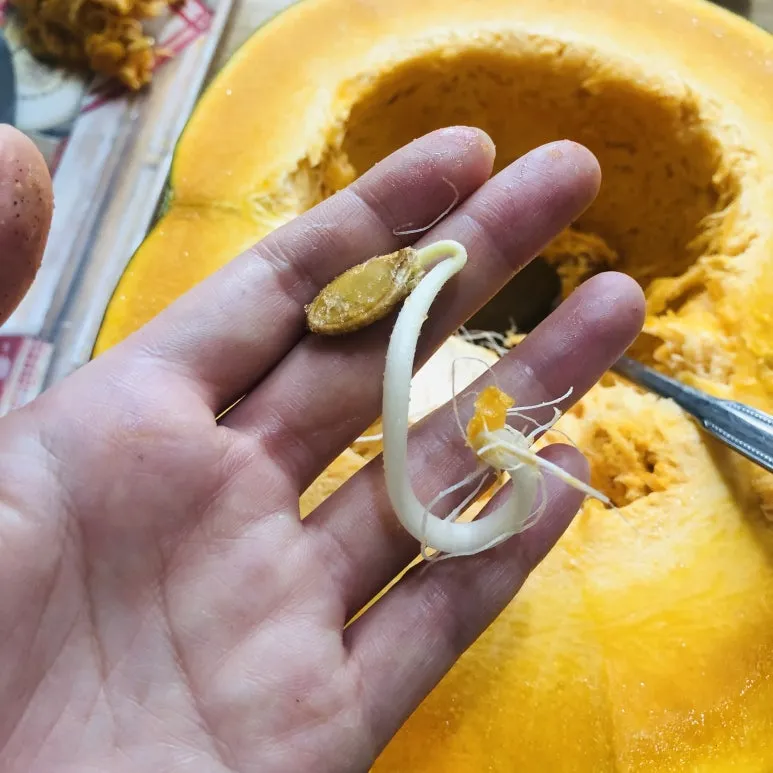 IMG_E3334.JPG?type=w773