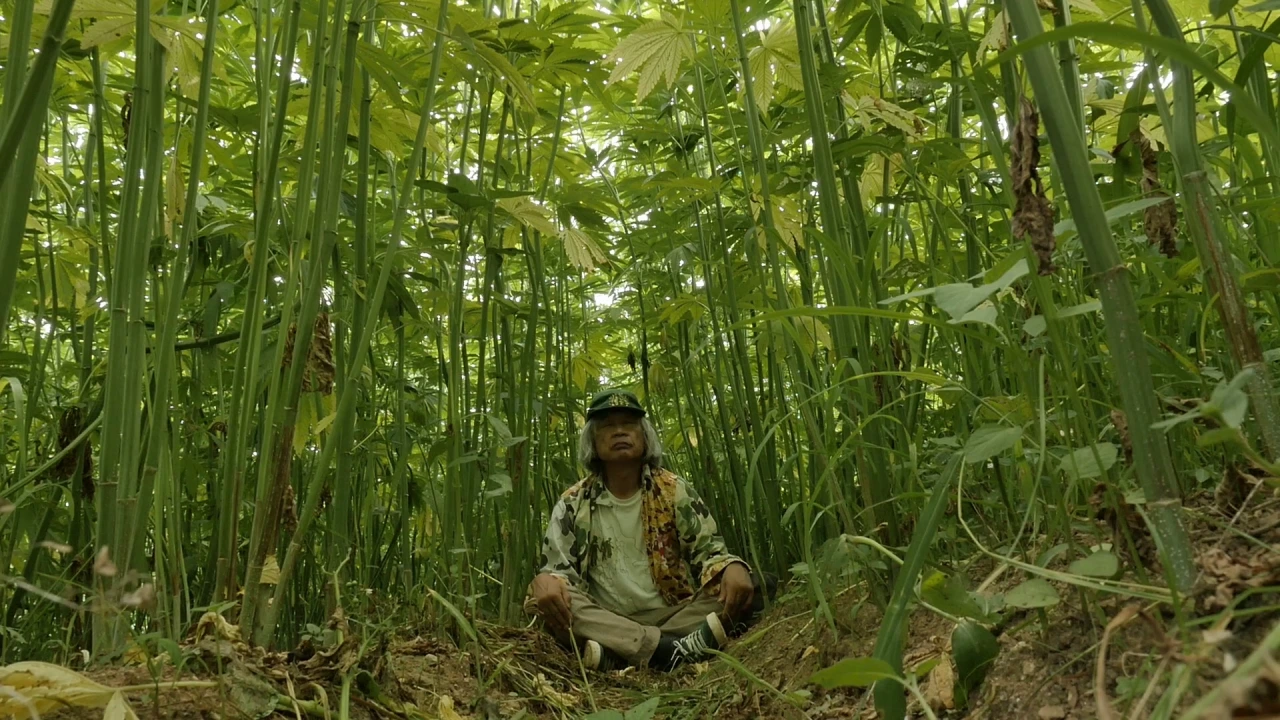 img.png?credential=yqXZFxpELC7KVnFOS48ylbz2pIh7yKj8&expires=1753973999&allow_ip=&allow_referer=&signature=7ZwxYYs1E3aE%2B3GMaYhWOODv%2Frc%3D